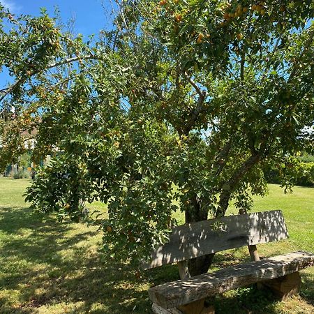 Les Feuilles Jaunes Chantenay-Saint-Imbert المظهر الخارجي الصورة