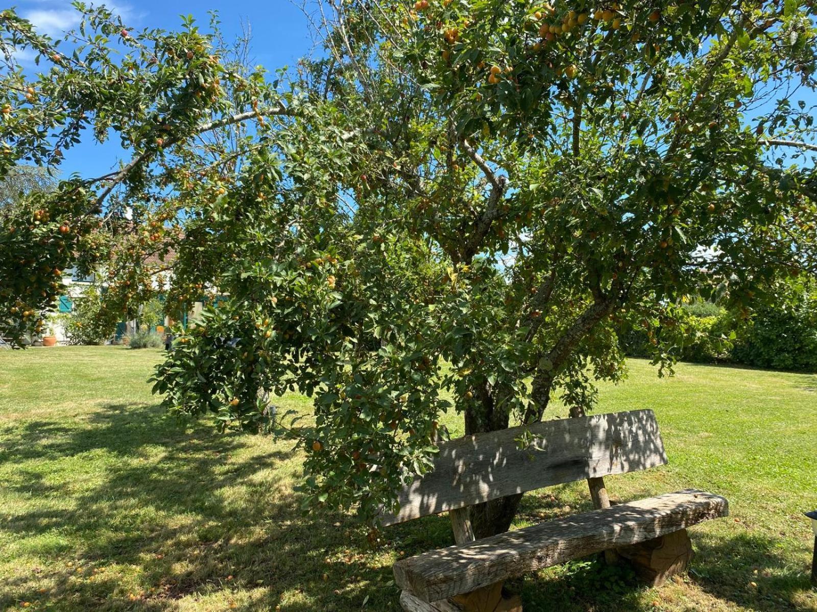 Les Feuilles Jaunes Chantenay-Saint-Imbert المظهر الخارجي الصورة